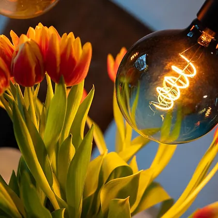 Haus Laffina ⇒ Komfortable Appartamento